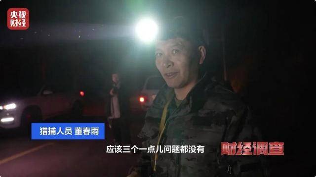 多地频现野猪伤人致害！为什么不能放开猎捕？记者调查