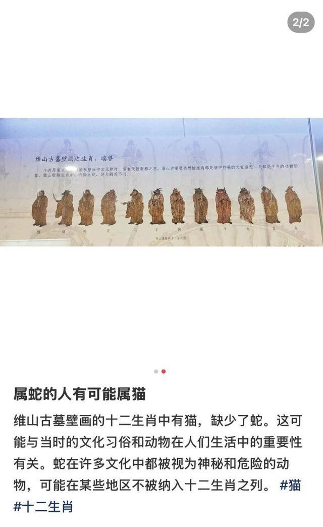 古代壁画“十二生肖图”有猫无蛇？专家：与主流生肖文化相差很大