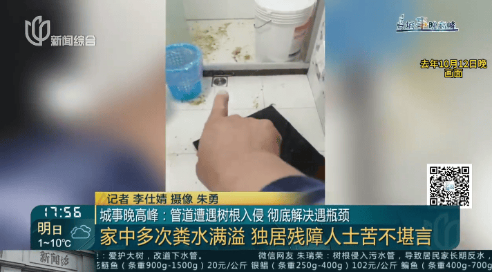 树根入侵，家里遭殃…上海姐妹俩傻眼，转机来了