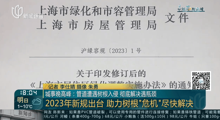 树根入侵，家里遭殃…上海姐妹俩傻眼，转机来了