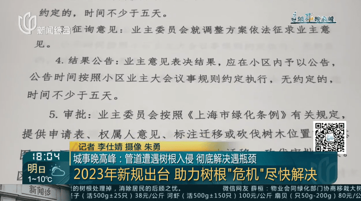 树根入侵，家里遭殃…上海姐妹俩傻眼，转机来了