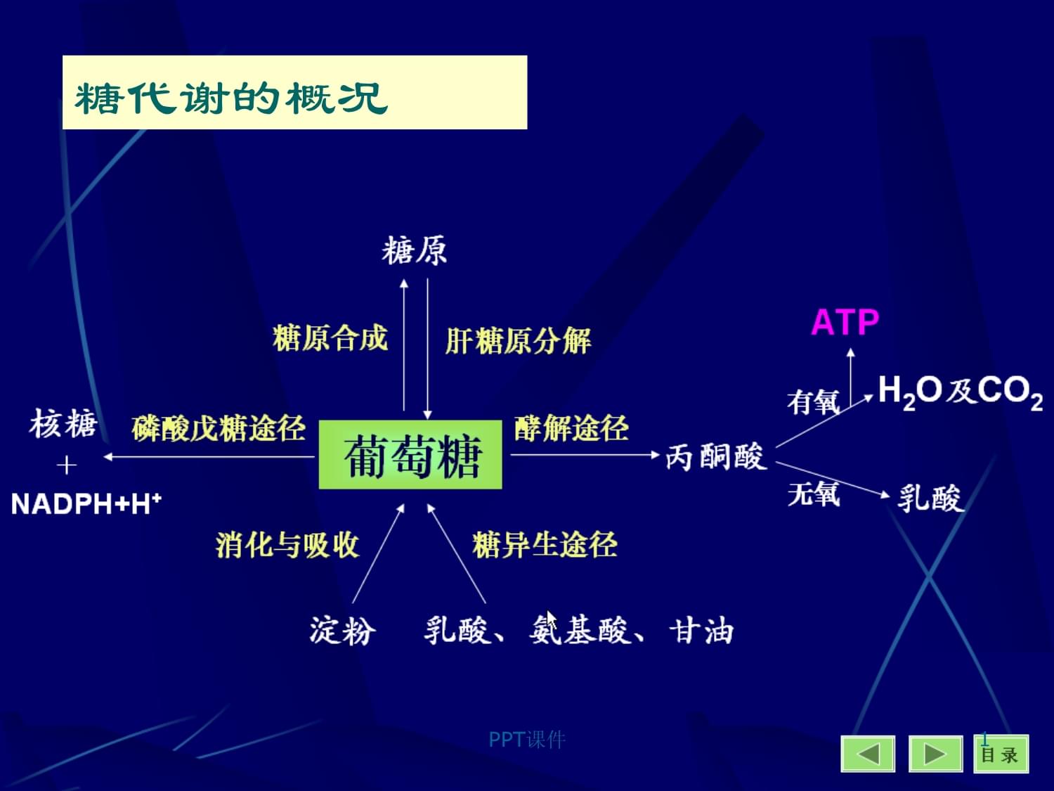 包含虚拟币氧源积分发行价的词条